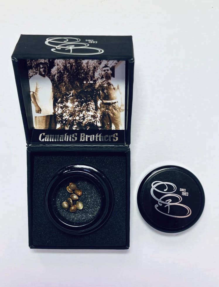 Cannabis Brothers - Cannabis Brothers | Big Block | Seeds | 10pk - 1