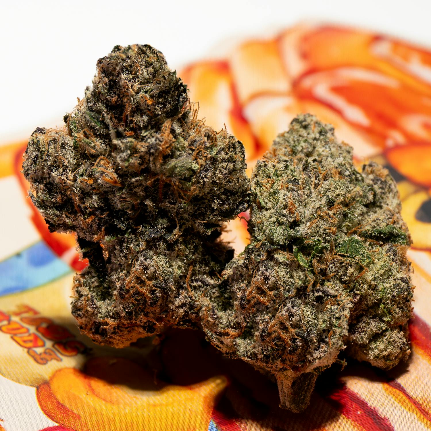 TEDS BUDZ - Grand Slam - 1