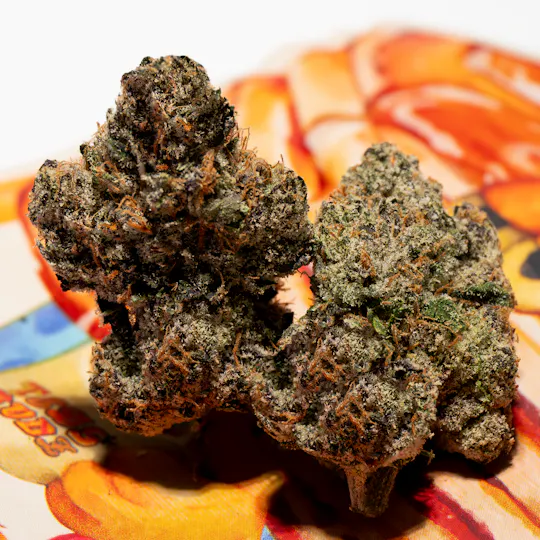 TEDS BUDZ - Grand Slam - 1