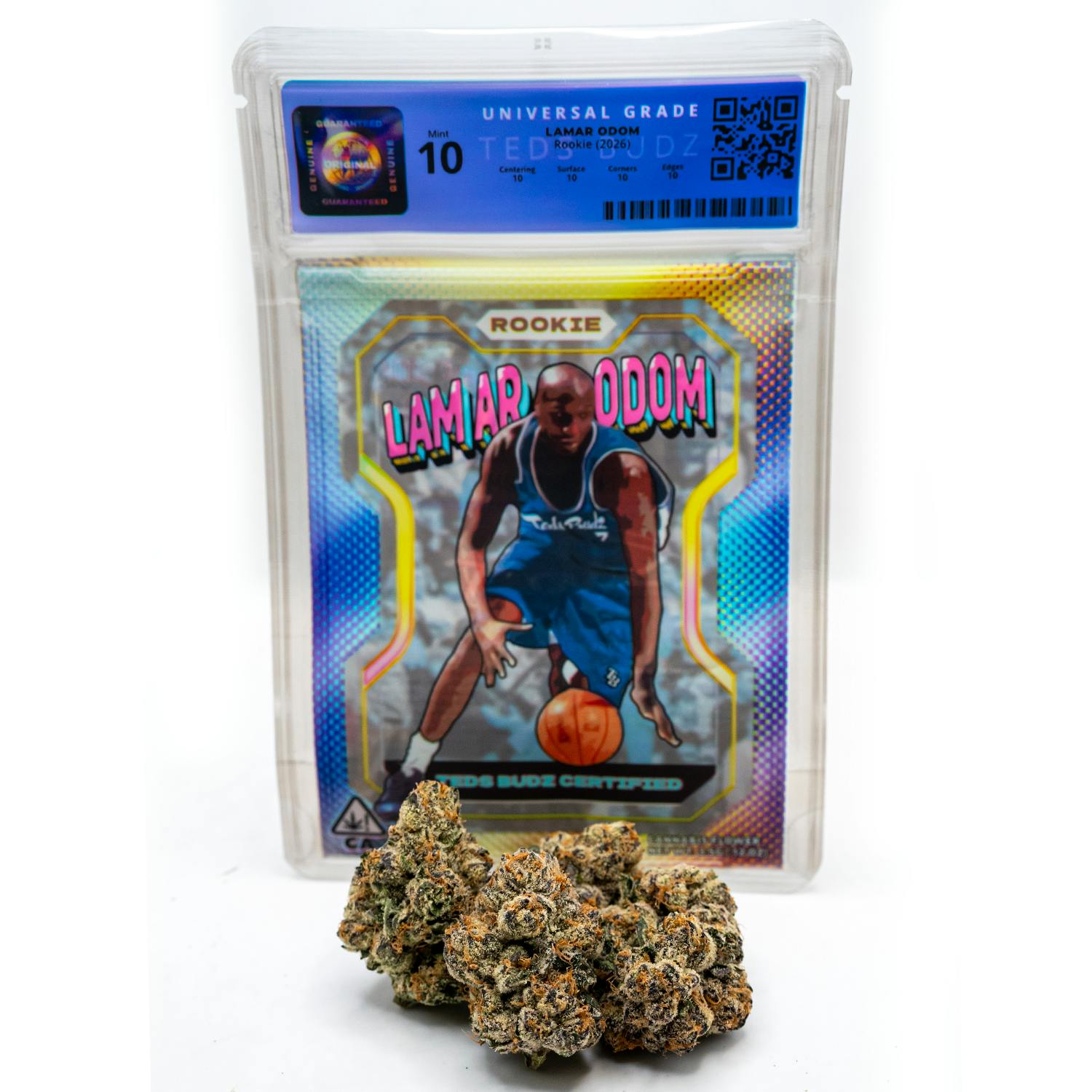 TEDS BUDZ - Lamar Odom Rookie - 1
