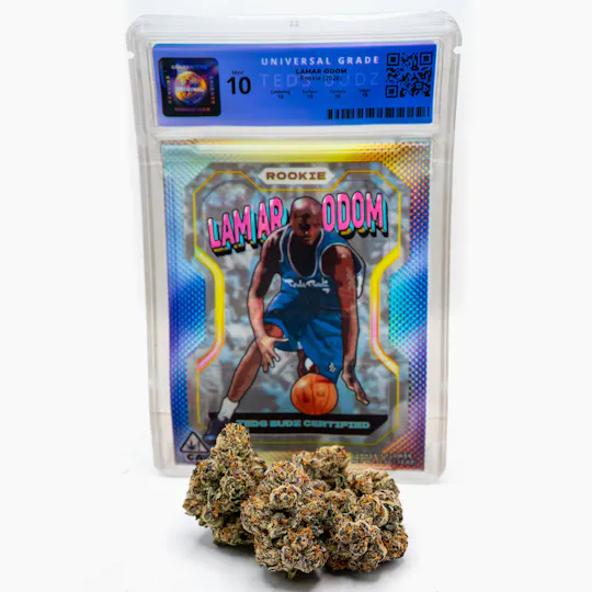 TEDS BUDZ - Lamar Odom Rookie - 1