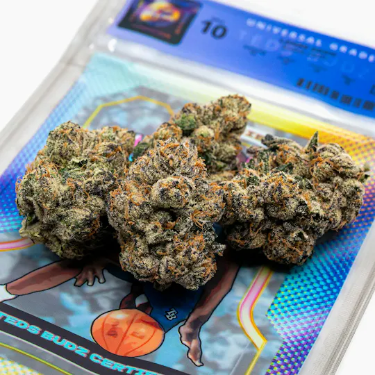 TEDS BUDZ - Teds Budz | Lamar Odom Rookie | 3.5g - 1