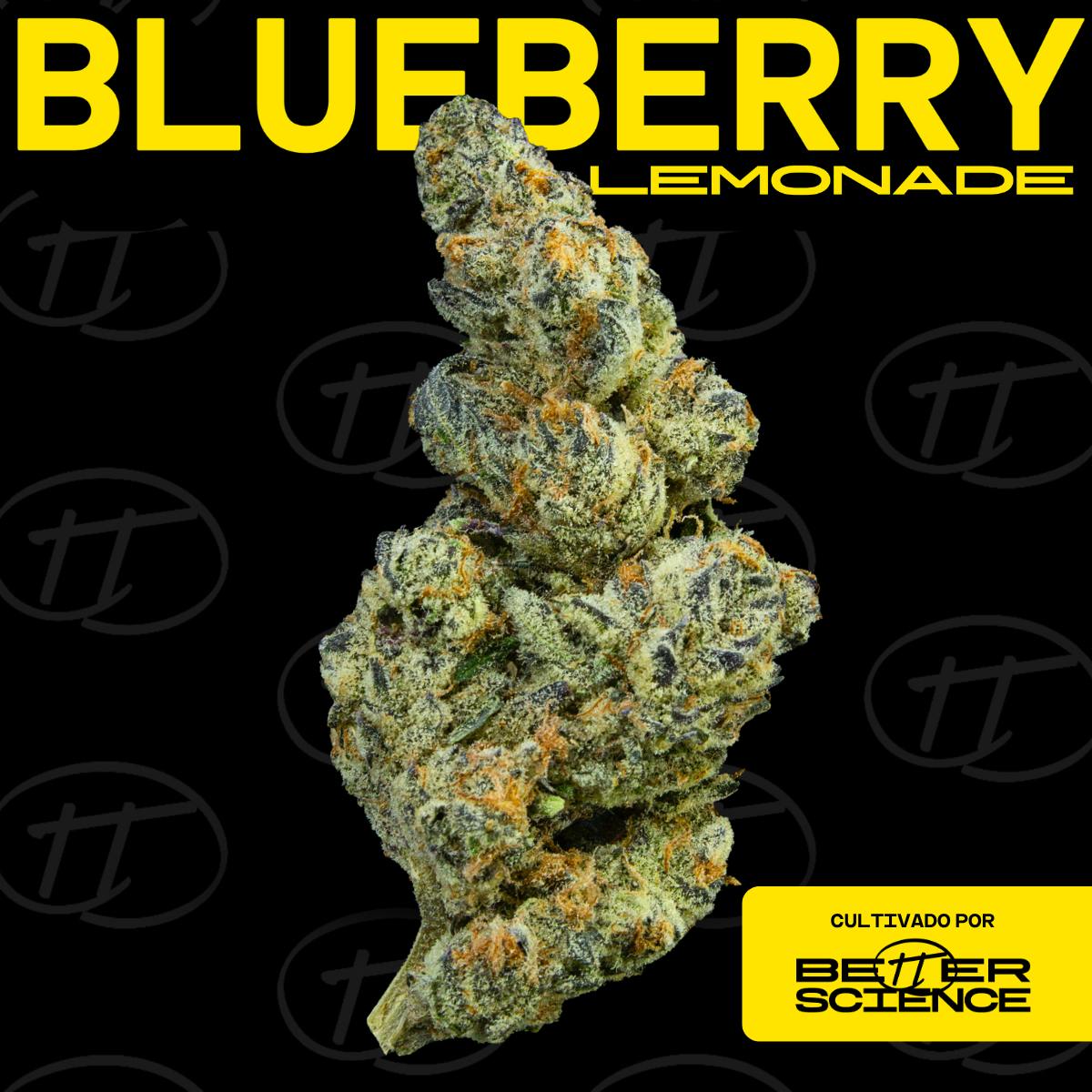 Better Science - BSC - Blueberry Lemonade - Flor - 1