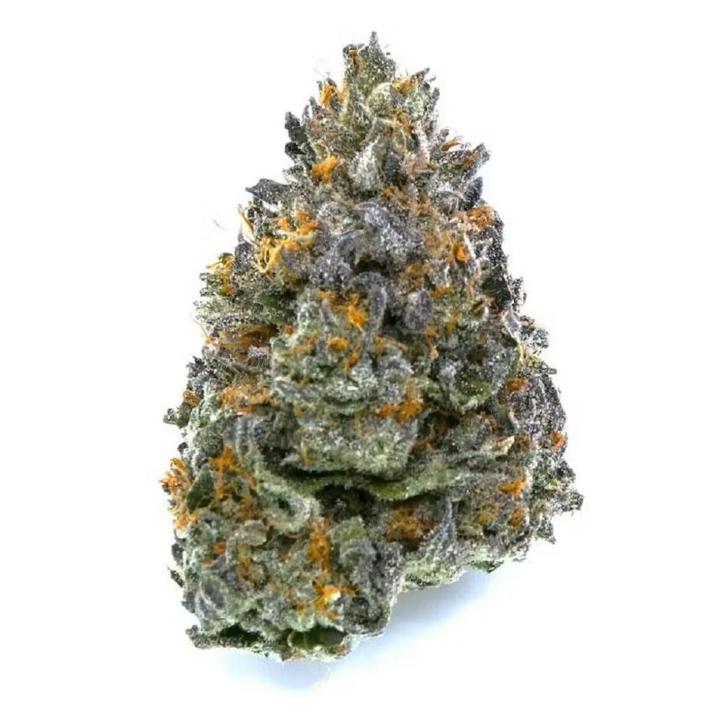 Avitas - Garlic Trufflez Buds - 1