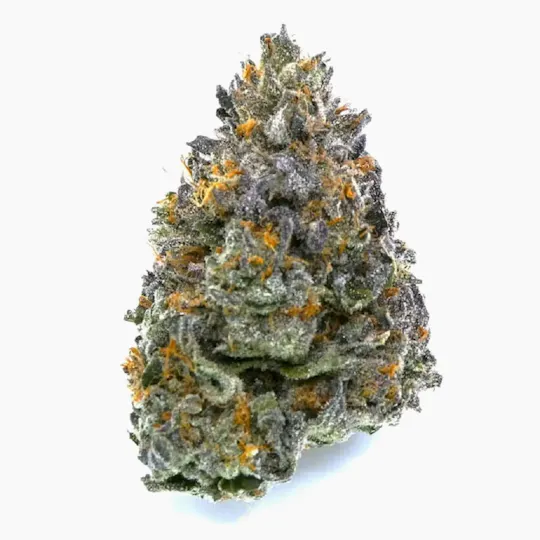 Avitas - Garlic Trufflez Buds - 1