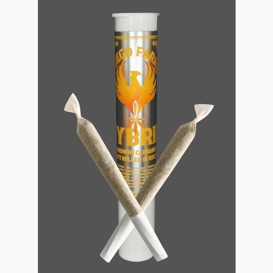 Fuego Farms - Fuego Farms | Glue | Joint | 1g - 1