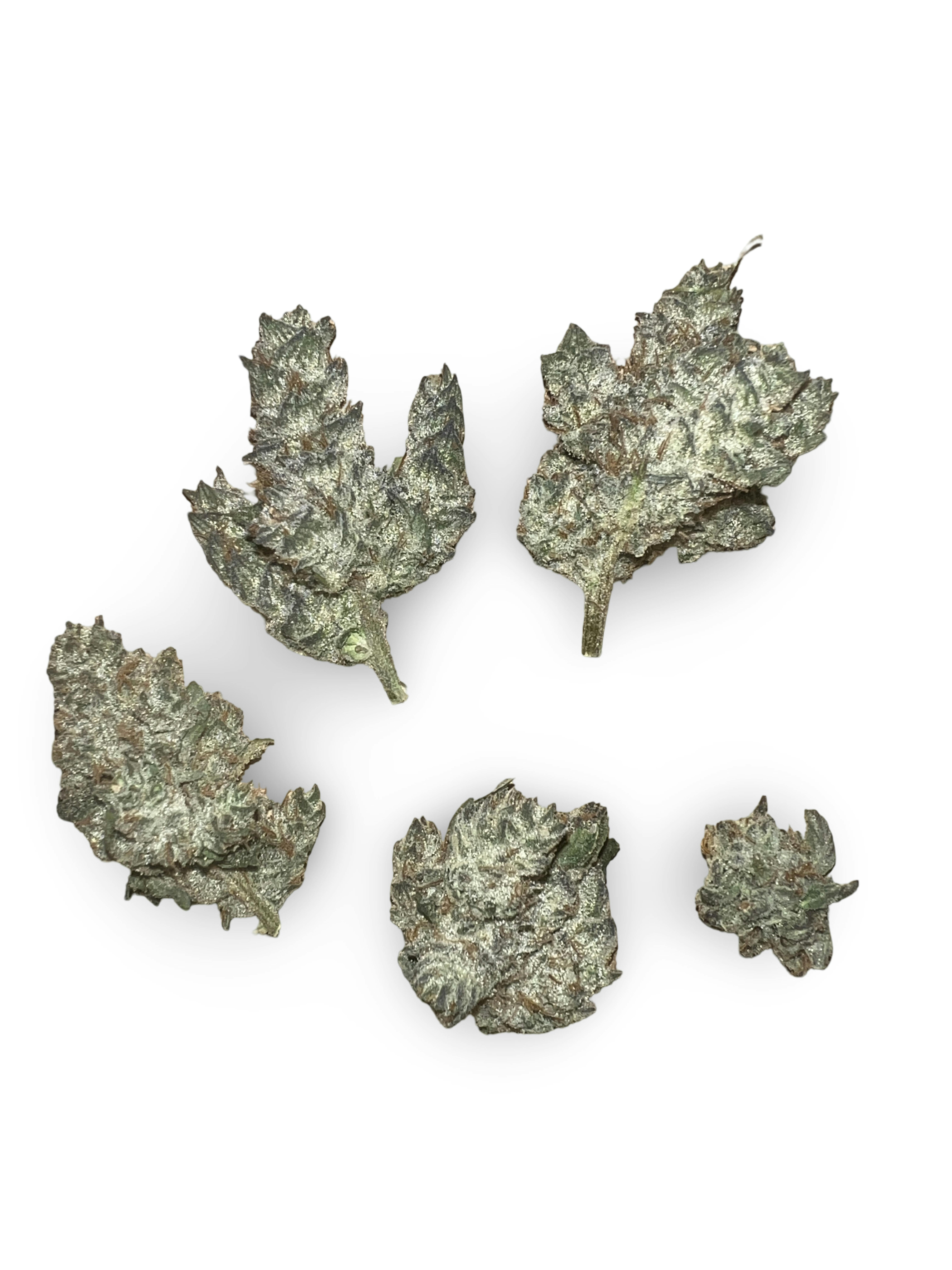 Indico - Northern Lights $100 Oz smalls - Indico - 1