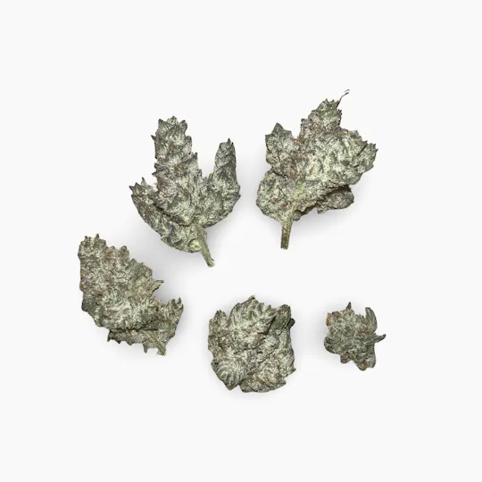 Indico - Northern Lights $100 Oz smalls - Indico - 1