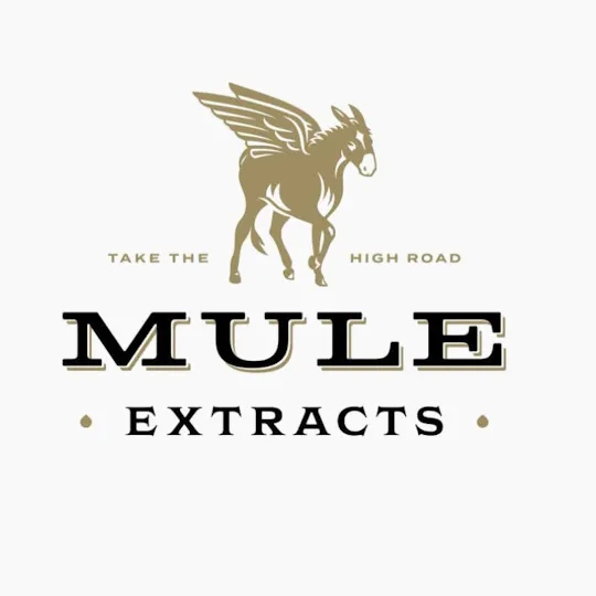 Mule Extracts - Devil Fruit | Dank Tank LR Disposable | 1g - 1