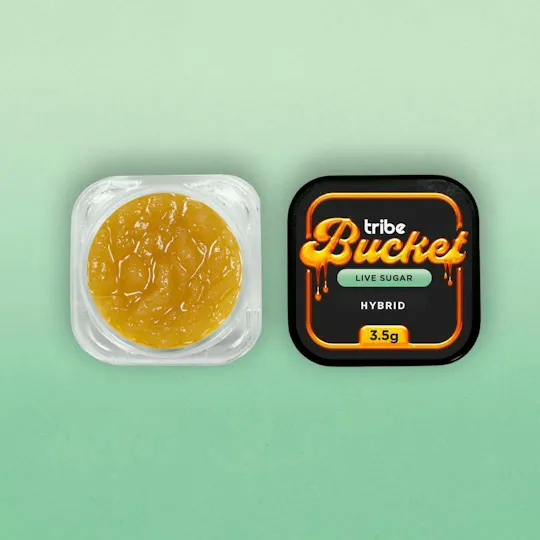 Tribe - Tribe | Golden Berries | Live Sugar Bucket | 3.5g - 1