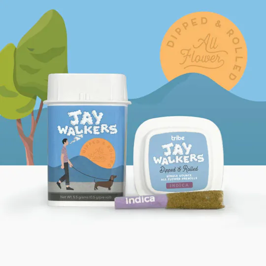 Tribe - Tribe | Tangie Dream | Dipped Jaywalker Infused Minis | 0.45g each | 11pk - 1