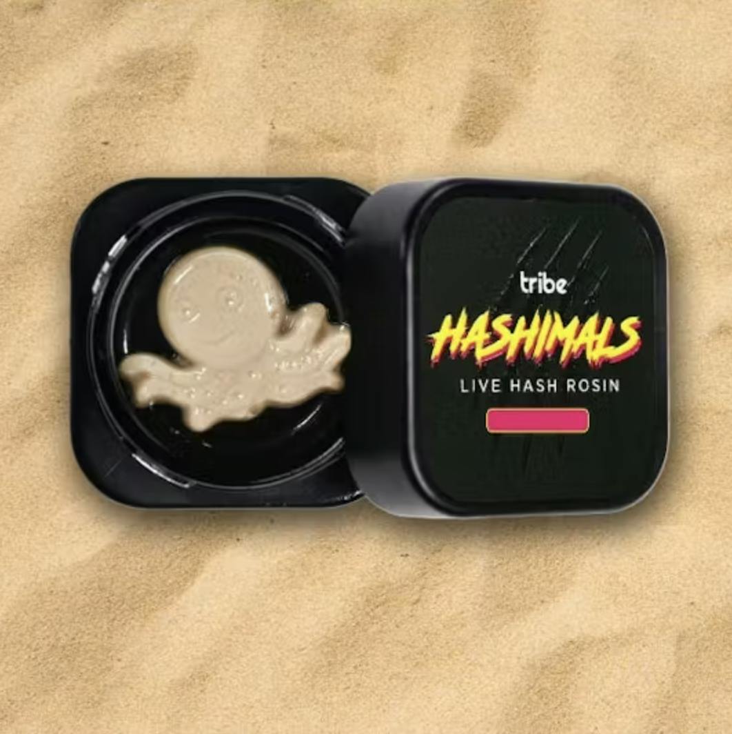 Tribe - Tribe | Blueberry Muffin | Octopus Hashimals | 2g - 1
