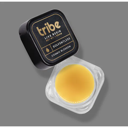 Tribe - Tribe | Thirty Three | Live Rosin | 1g - 1