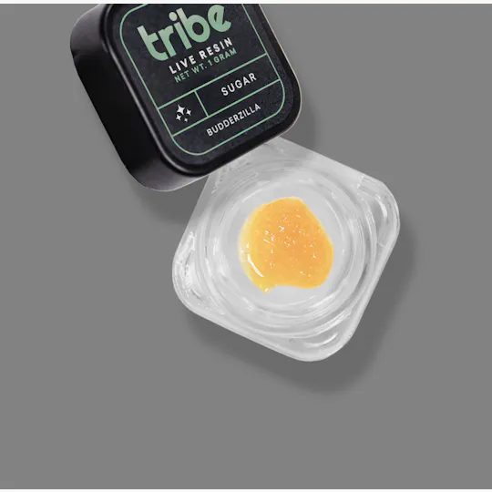 Tribe - Tribe | Vanilla Pound Cake | Live Sugar | 1g - 1