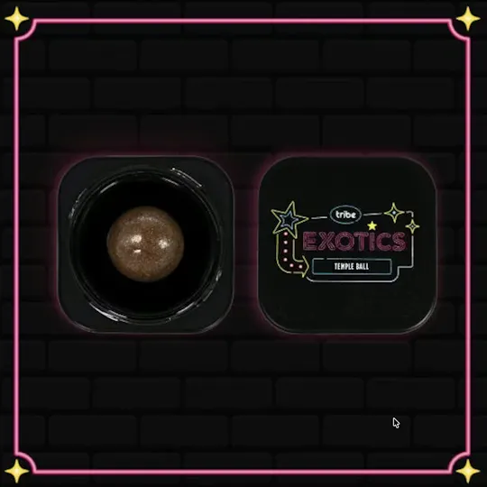 Tribe - Tribe | Squirt | Live Ice Water Hash | Temple Ball | 1g - 1