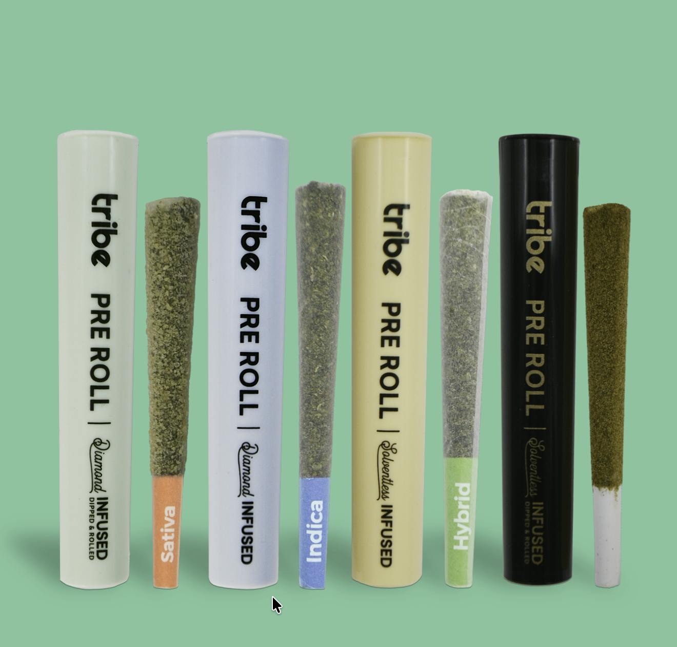 Tribe - Tribe | Everything Bagel | Solventless Infused Joint | 1g - 1