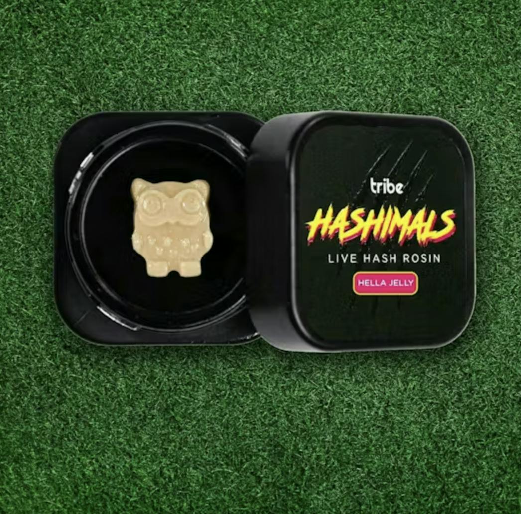 Tribe - Tribe | Guava | Owl Hashimals | 1g - 1
