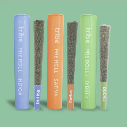 Tribe - Tribe | Tres Fuego | Joint | 1g - 1