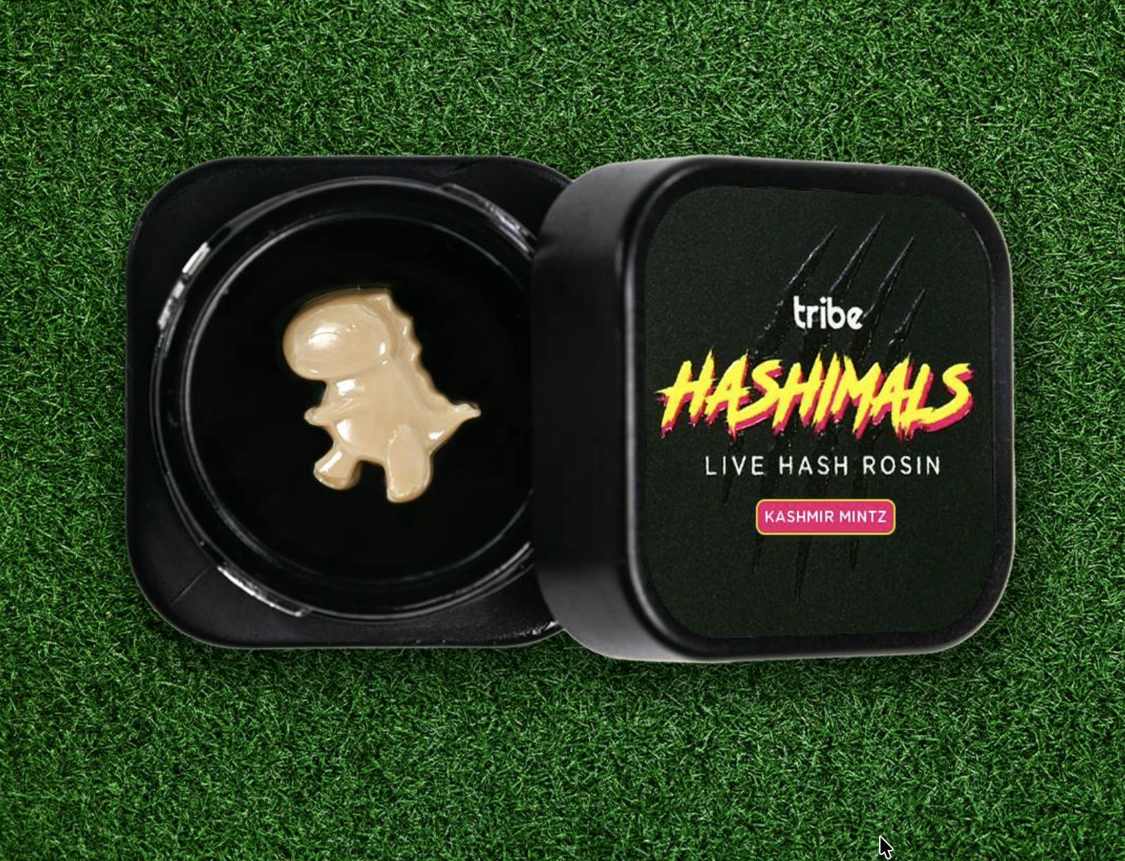Tribe - Tribe | Emerald Jelly Donut | T-Rex Hashimals | 0.5g - 1