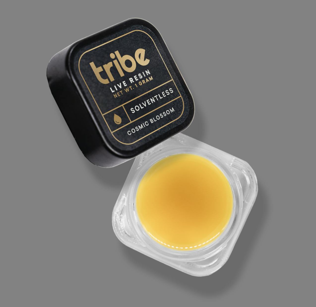 Tribe - Tribe | Blueberry Muffin | Live Rosin | 1g - 1