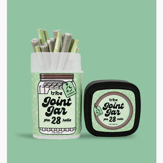 Tribe - Tribe | Lemon Runtz | Joints | 1g each | 28pk - 1