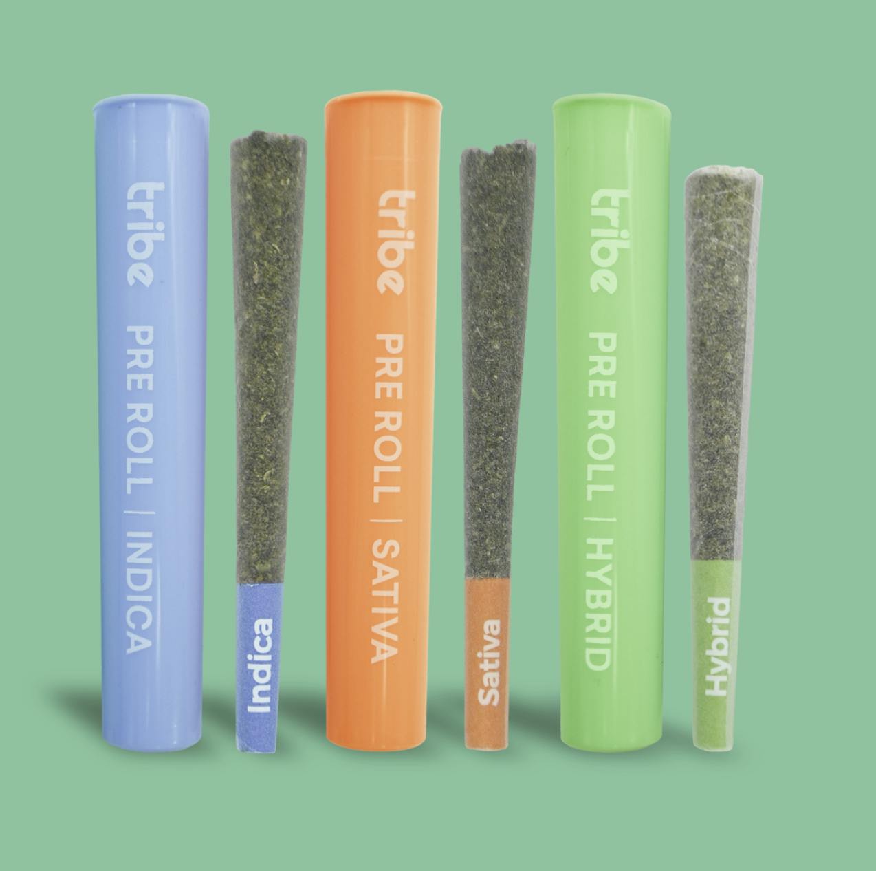 Tribe - Tribe | Sour Triploid | Joint | 1g - 1