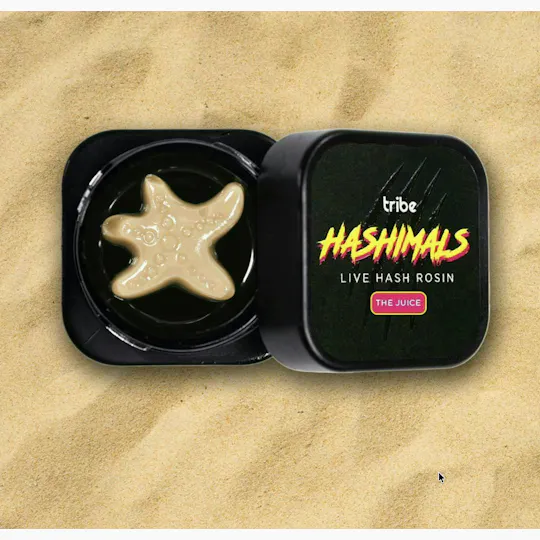 Tribe - Tribe | Cherry Funk | Starfish Hashimals | 2g - 1