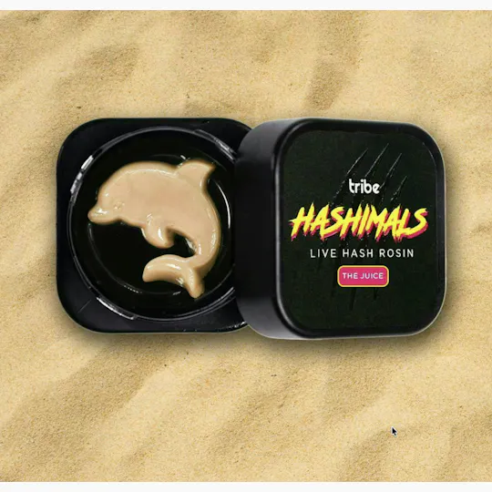 Tribe - Tribe | Cherry Funk | Dolphin Hashimals | 2g - 1