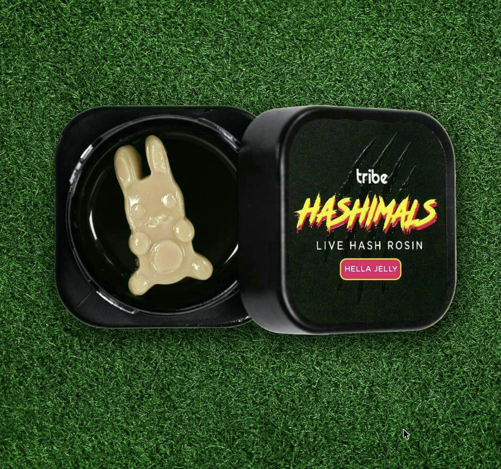Tribe - Tribe | Citrus Sand | Bunny Hashimals | 1g - 1