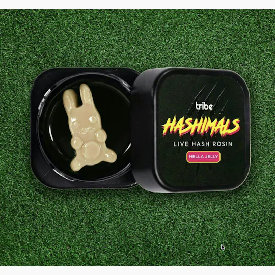 Tribe - Tribe | Cherry Funk | Bunny Hashimals | 1g - 1