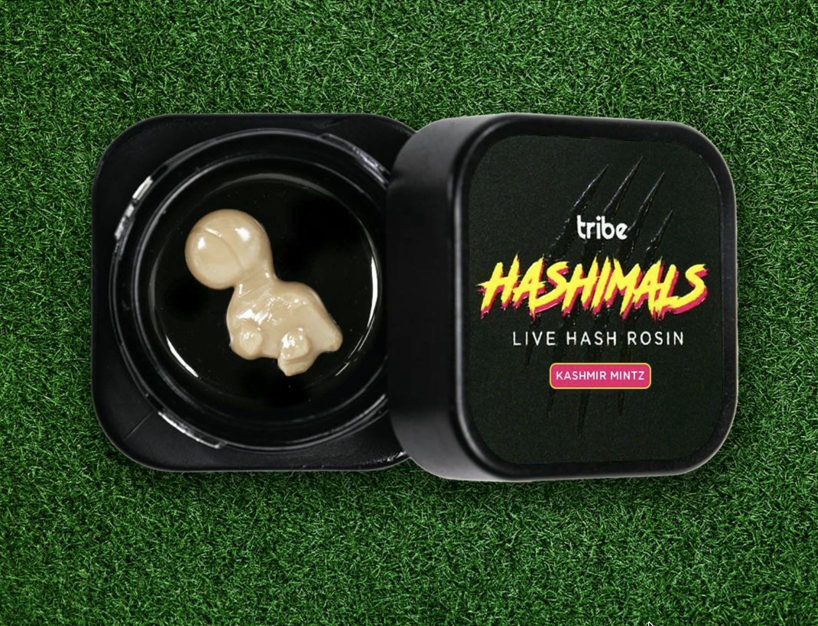 Tribe - Tribe | Emerald Jelly Donut | Brontosaurus Hashimals | 0.5g - 1