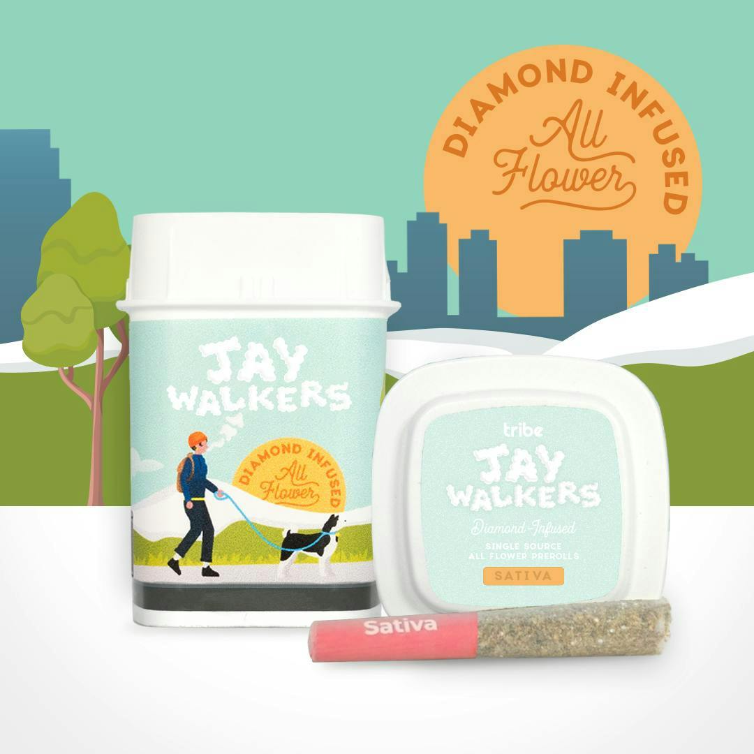 Tribe - Blueberry Rush | Jaywalkers Diamond Infused Minis | 0.45g each | 11pk - 1