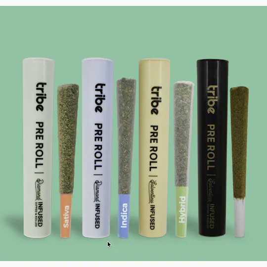 Tribe - Lemon AK | Solventless Infused Joint | 1g - 1