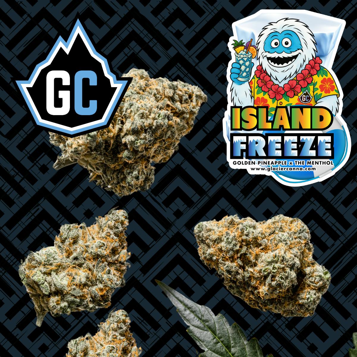 Glacier Cannabis - Glacier Cannabis | Island Freeze | Bulk Flower - 1