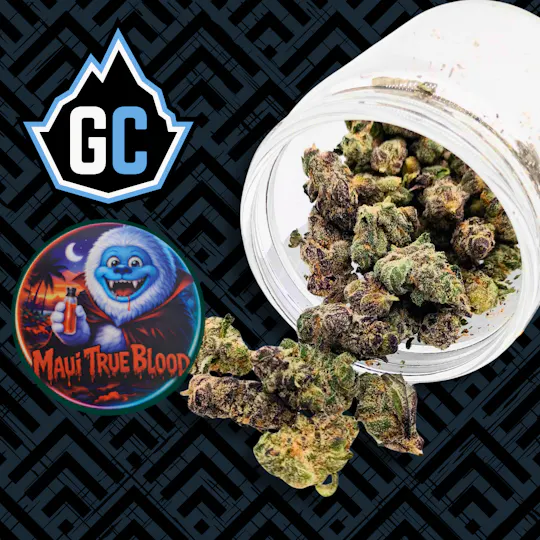 Glacier Cannabis - Glacier Cannabis | Maui True Blood | Bulk Flower - 1