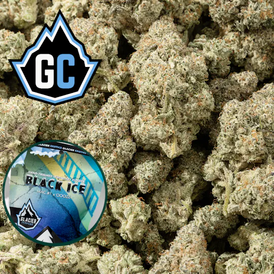 Glacier Cannabis - Glacier Cannabis | Black Ice | Bulk Flower - 1