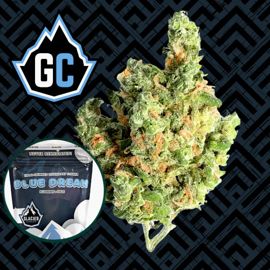Glacier Cannabis - Glacier Cannabis | Blue Dream | Bulk Flower - 1