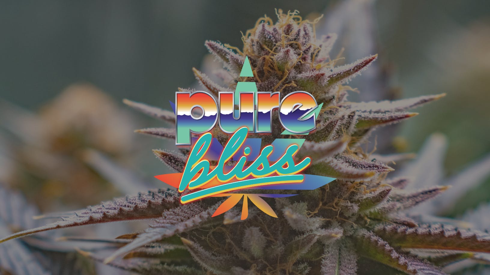 Pure Bliss Farms - Pure Bliss Farms | Item 9 | Flower | 3.5g - 1