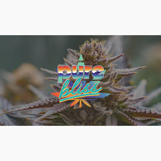 Pure Bliss Farms - Pure Bliss Farms | Sticky Maple | Flower | 3.5g - 1