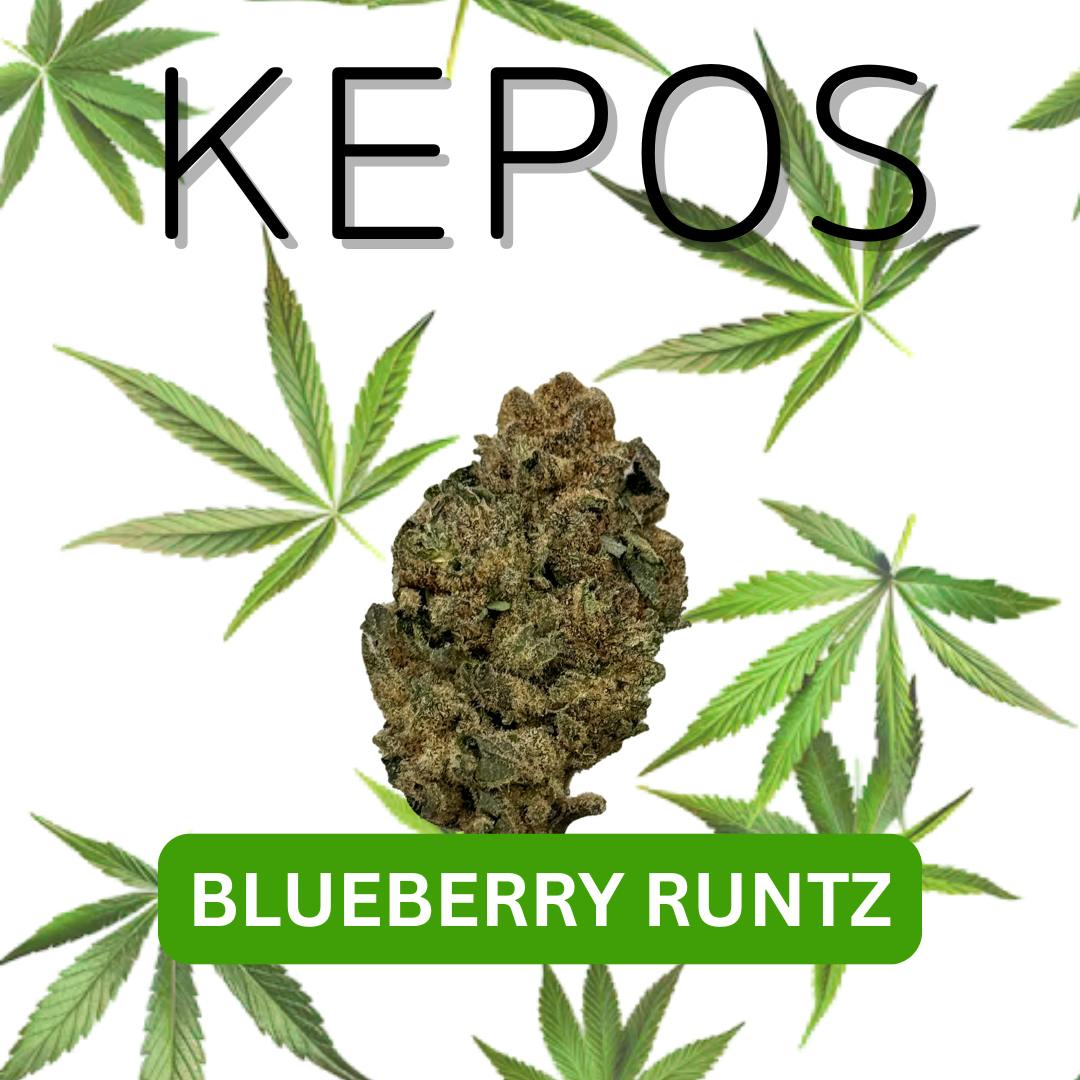 KEPOS - Kepos - Blueberry Runtz 3.5g - PREMIUM FLOWER - 1