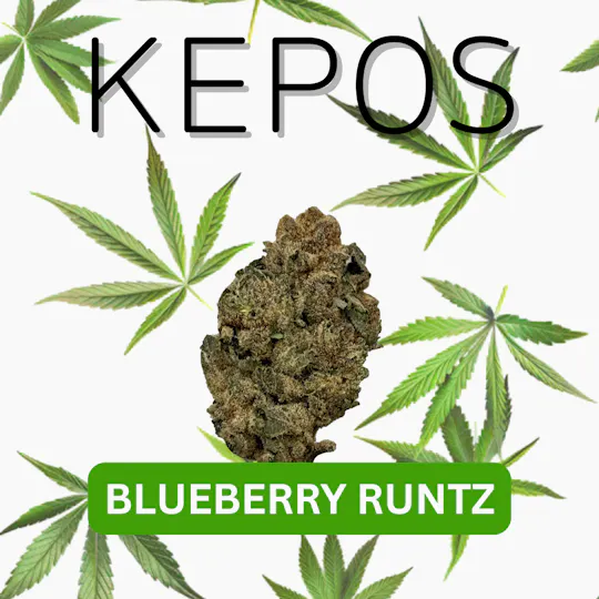 KEPOS - Kepos - Blueberry Runtz 3.5g - PREMIUM FLOWER - 1