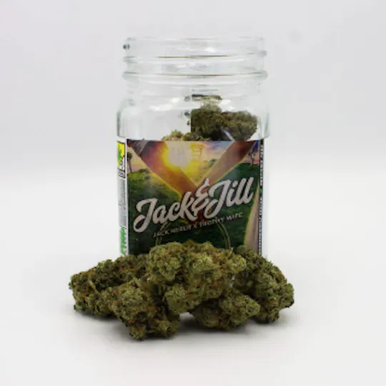 Phat Panda - Phat Panda | Jack & Jill | Big Buds | 7g - 1