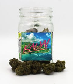 Phat Panda - Phat Panda Platinum | Kauai | Big Buds | 28g - 1