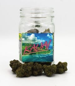 Phat Panda - Platinum | Kauai | Big Buds | 28g - 1