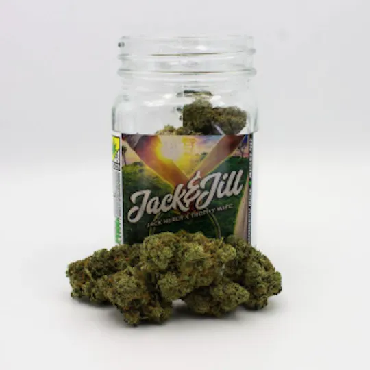 Phat Panda - Phat Panda | Jack & Jill | Big Buds | 3.5g - 1