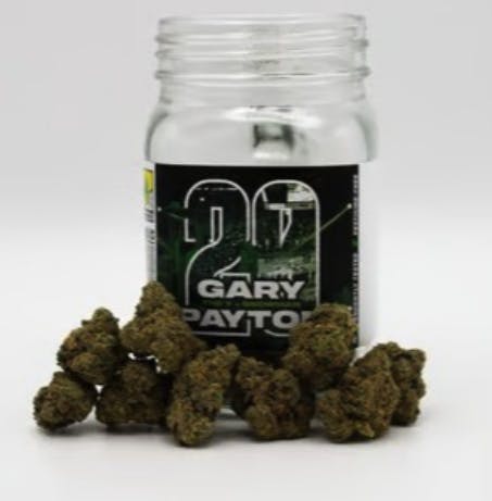 Phat Panda - Phat Panda | Gary Payton | Big Buds | 28g - 1