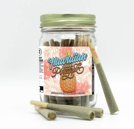 Phat Panda - Hawaiian Golden Pineapple | Joints | 1g each | 28pk - 1