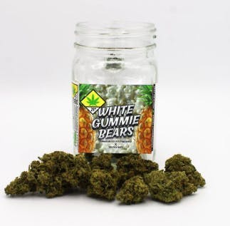 Phat Panda - White Gummie Bears | Big Buds | 7g - 1
