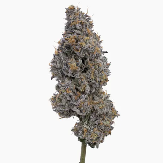 Green Dawg - Doap | Joints | 1g each | 3pk - 1