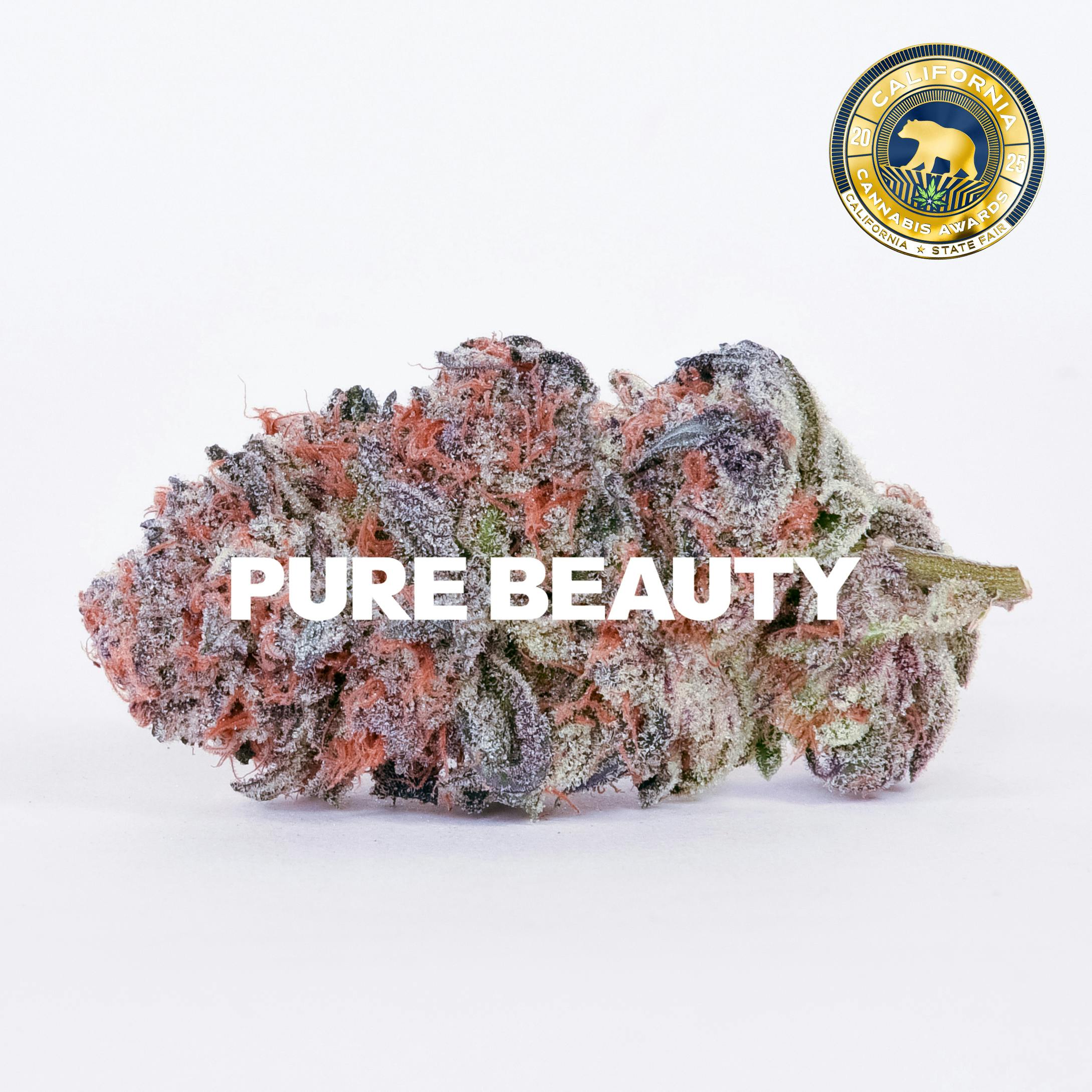 Pure Beauty - Gush Mints (1:1 CBD) | 14.17g Indoor - 1